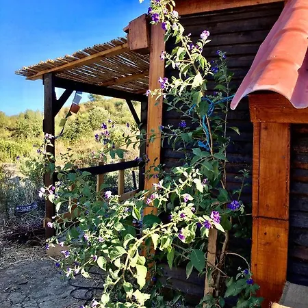 Romantic Cabane Lisboa * São João dos Montes